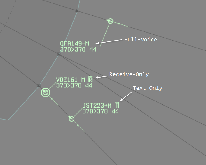 Screenshot of voice capability label items
